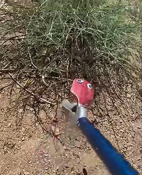 SNAKE
