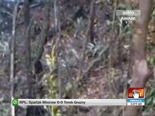 4 maut nahas pesawat misi banteras dadah di Columbia