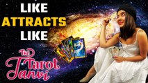 Daily Tarot Readings: Is it true that like attracts like? | Oneindia News