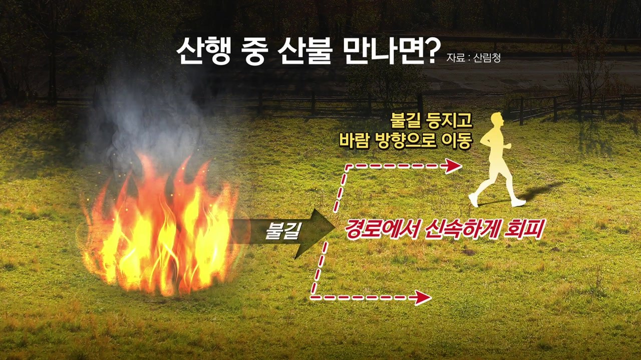 겨울 가뭄에 산불 2배 급증...산불 대처 요령은? / YTN