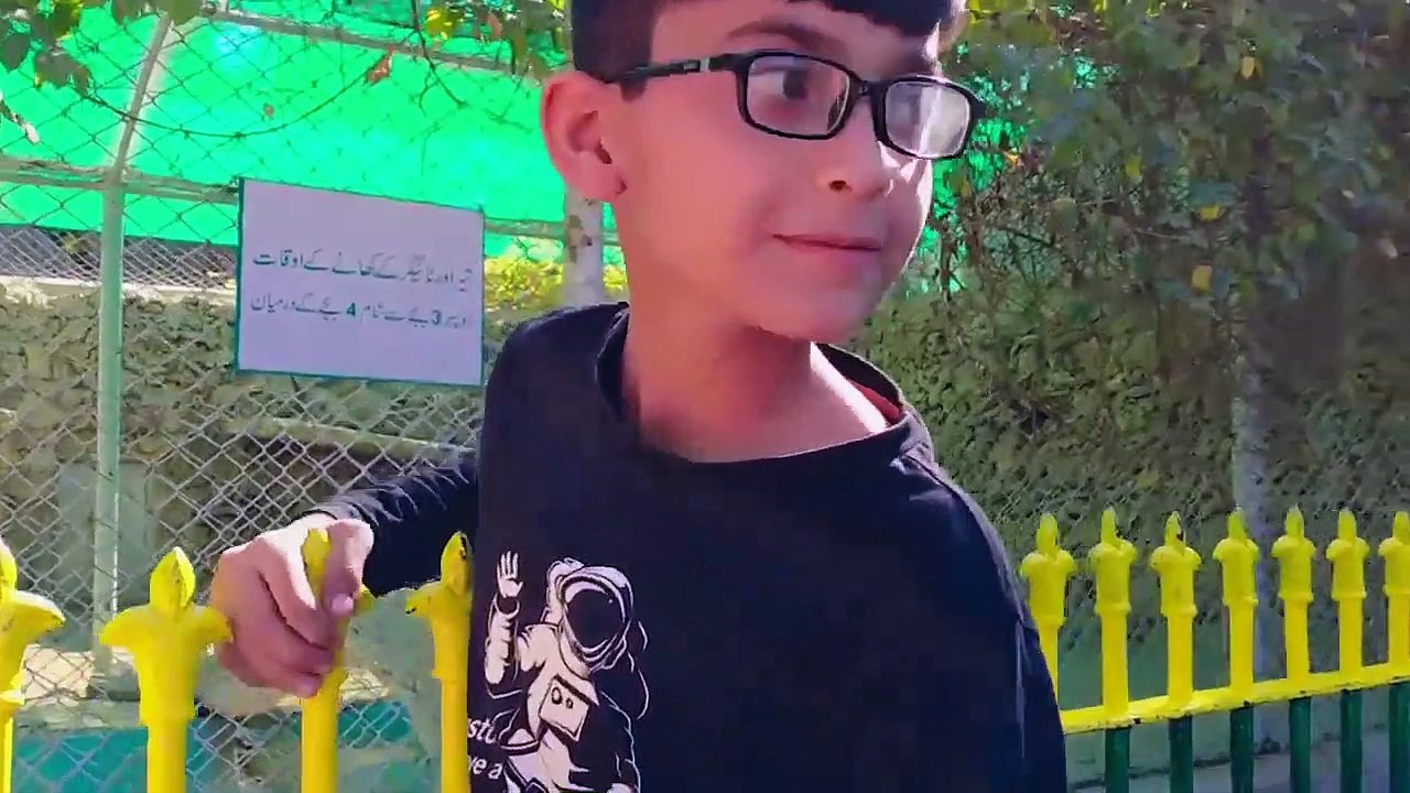 Karachi Zoo Trip,  Enjoy the Best Movements