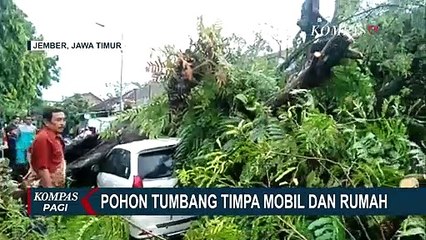 Timpa Mobil hingga Robohkan Lapak Pedagang, Angin Kencang di Jember & Madiun Ancam Jiwa Warga!