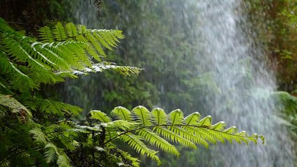 Waterfall - Time at Peace