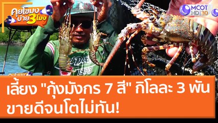เลี้ยง "กุ้งมังกร 7 สี" กิโลละ 3 พัน ขายดีจนโตไม่ทัน! (16 ก.พ. 65) คุยโขมงบ่าย 3 โมง