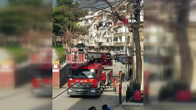 Bursa’da ağaçta asılı kalan kuşu itfaiye ekipleri kurtardı