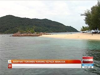 Manfaat terumbu karang di Malaysia