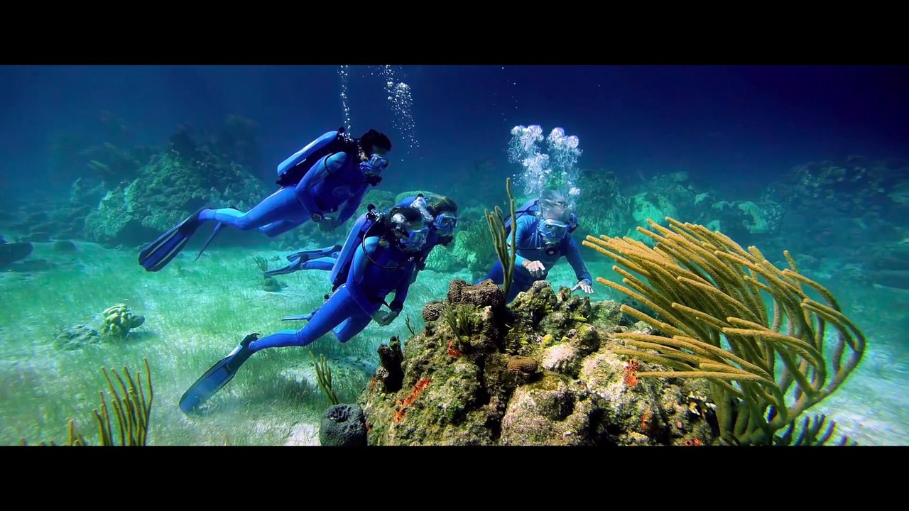 Wonders of the Sea Film