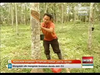 Kerajaan disaran tetapkan harga lantai getah
