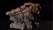 Les restes d'un dinosaure découverts dans les entrailles d'un crocodile de 95 millions d'années