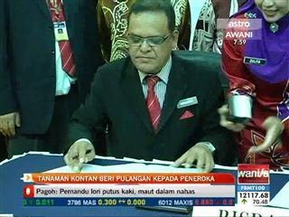 Tanaman kontan beri pulangan kepada peneroka