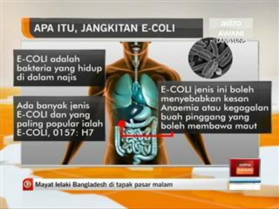 Apa itu, jangkitan E-Coli?