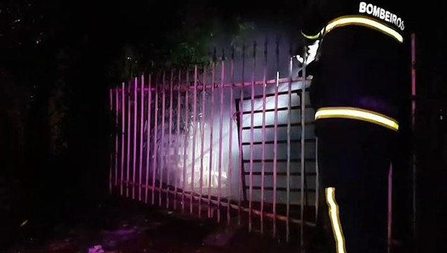 Corpo de Bombeiros é acionado para combater incêndio em árvore no Santa Felicidade