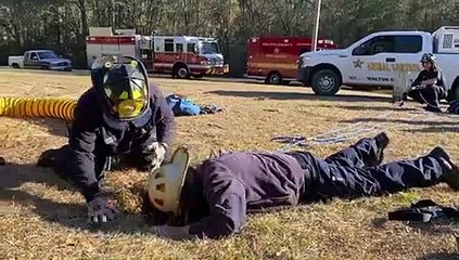 "Final feliz": Cão é resgatado de buraco de 4, 5 metros de profundidade