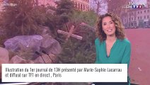 Marie-Sophie Lacarrau bientôt de retour au JT de TF1 : la date dévoilée