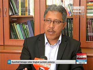 Mengapa tanaman limau mandarin tempatan tidak berjaya?