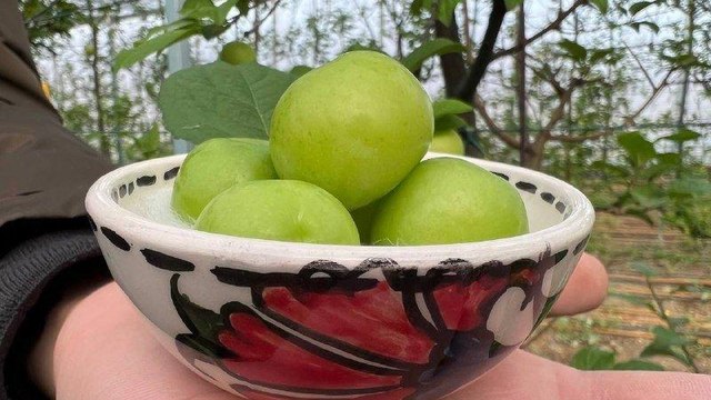 Kilosu 2 bin lira, müşterisi Arap şeyhleri