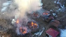 Son dakika haberi: KASTAMONU - 15 evin kül olduğu yangından kurtardığı buzağısını kucağında taşıdı