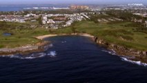 فيديو: بعد مقتل شخص في هجوم سمكة قرش لأول مرة منذ 60 عاما.. إغلاق شواطئ بسيدني