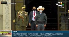 Sectores de oposición peruana maniobran para forzar renuncia presidencial