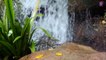 15 Minute Healing Calming Waterfall Sounds for Stress-Relief | Waterfall  | Meditation |  Relaxation | Study | Sleep | Focus | Concentration | Soothing | Healing | Serene | Calming | Joyful
