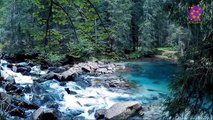 15 Minute Natural Healing Music | Waterfall  | Nature | Self-love | Stress-Relief | Beautiful | Positive Energy | Focus | Meditation | Calming | Relaxing | Stress-Relief