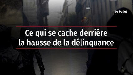 Ce qui se cache derrière la hausse de la délinquance