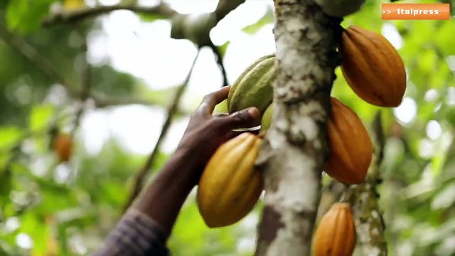 Sostenibilità, Ferrero rinnova la partnership con Save the Children
