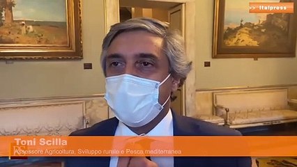 Finanziaria, Scilla "Campagna forestali finanziata con fondi Ue"