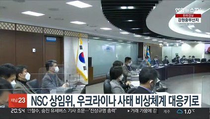 NSC 상임위, 우크라이나 사태 비상체계 대응키로