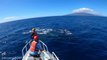 Liberan a una ballena que se había enredado con un cabo de pesca en aguas de las islas Hawai