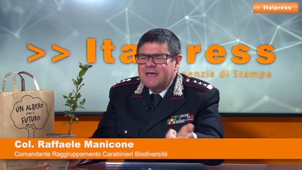 Dall’Albero Falcone nascono le piantine della legalità