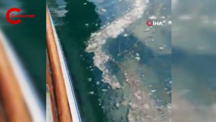 Çanakkale Boğazı’nda müsilaj kabusu