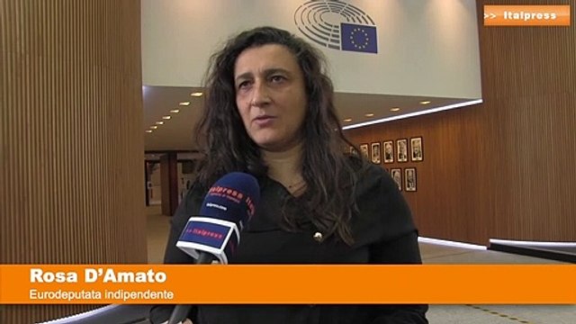 Recovery, D’Amato “Non solo investimenti, servono riforme”