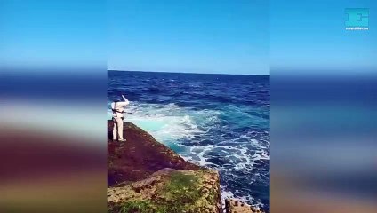 En Sídney, un tiburón mató a un nadador y quedó todo filmado