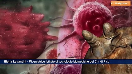Tumore polmone, studio su terapia sottotipo molecolare K-RAS