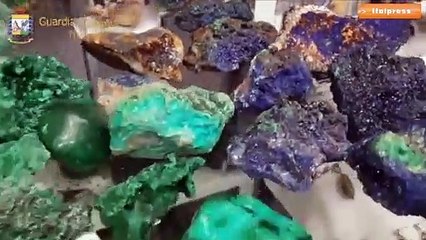 Torino, sequestrati 10mila monili di specie protette