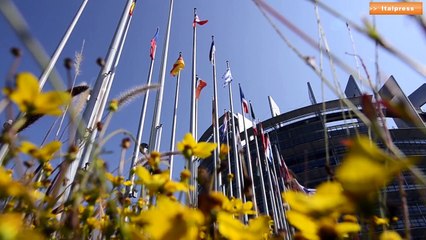 Via libera in Europa agli insetti da mangiare