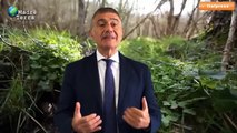 Madre Terra - Ventesimo anniversario della riforma forestale