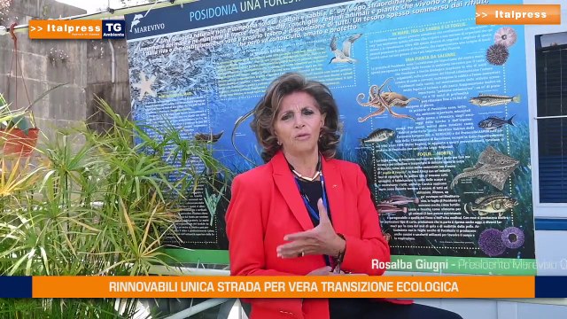 Rinnovabili unica vera strada per la transizione ecologica
