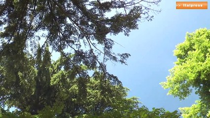 La pandemia non ferma il Gruppo Cap, nel 2020 ricavi per 344 mln