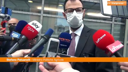 Pac, Patuanelli: "Condizionalità deve essere elemento fondante"