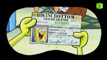 سبونج بوب سعيد بحصوله على رخصة القيادة