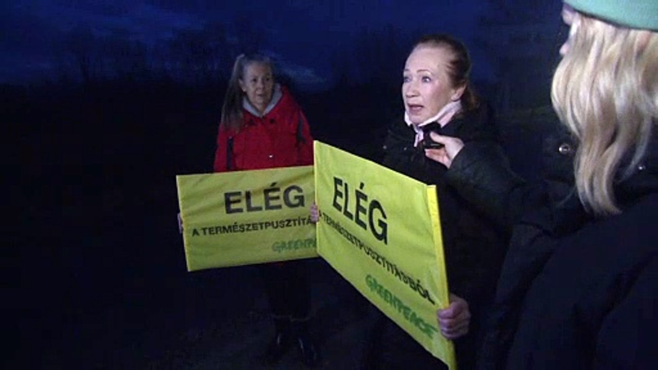 Neusiedler See: Aktivisten protestieren gegen 60-Hektar-Tourismus-Projekt