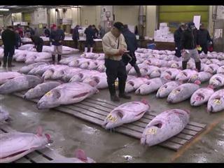 World's biggest fish market set for new home