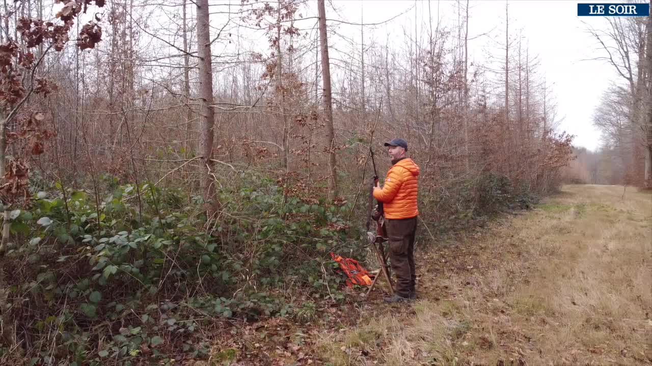 Comment va la France ? Dans la Somme, partie de chasse entre gibiers  d'eau et gros gibiers