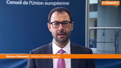 Accordo Ue sulla Politica Agricola Comune, Patuanelli: "Riforma storica"