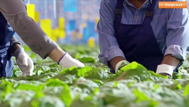 La bioeconomia in Italia vale 317 mld