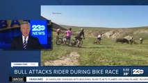 Bull strikes 4 bicyclists during Rock Cobbler Race near Bakersfield