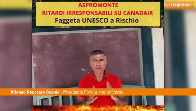 Incendi in Aspromonte, Pecoraro Scanio: “Canadair e Governo in ritardo