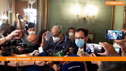 Incendi, Patuanelli: "Subito ristori, ma serve prevenzione"